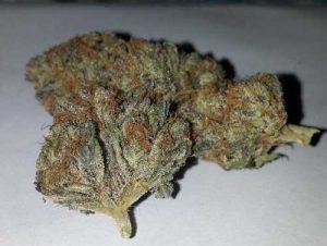 Afghan Kush – Indica,Buy Weed Online Australia,Afghan Kush,Buying weed online,Buy Marijuana In Australia,Buy Marijuana online,Order Marijuana Online Australia,Hindu Kush,THC,stress,anxiety,anorexia and chronic pain,CBD,marijuana,Weed,Buy Weed Online,Buy Cannabis online,Buy Cannabis Oil,Edibles,Wax,Hash,Shatter,in  Australia,anorexia,chronic pain.,Buy Weed Australia,Entirecannabis Online dispensary,Buy Weed Online Australia by Ammar Shaikh,buy weed online australia – Services – Professional,How to buy cannabis safely online in Australia,Buying weed online: yay or nay?,Is It Possible To Buy Weed Online In Australia?,melbourne victoria australia – Pinterest,#Buy canabis,in #Australia,Aussie 420,Australia Cannabis Shop,Buy Weed Online Canberra Australia,Buy cannabis Online Australia,kush online Shop in Australia,Sydney,Melbourne,Brisbane,Perth,Adelaide,Gold Coast-Tweed Heads,Canberra-Queanbeyan,Newcastle,Central Coast,Wollongong,Sunshine Coast,Geelong,Townsville,Hobart,Cairns,Toowoomba,Darwin,and Alice Springs,Buy Marijuana Online Australia,Best quality weed for sale. Buy Cannabis Oil Online,Delivery is 100% guaranteed,Entirecannabis,Cannabis,SATIVA,indica,hybrid,Buy Weed Online New South Wales Australia,Buy Cannabis Online Queensland Australia,Buy Marijuana Online Northern Territory Australia,Buy Weed Online Western Australia,Buy Cannabis Online South Australia,Buy Marijuana Online Victoria Australia,Buy Weed Online Australian Capital Territory,Buy Cannabis Online Tasmania,Buy Weed Online Sydney,Buy Cannabis Online Newcastle,Buy Marijuana Online Canberra,Buy Weed Online Albury,Buy Cannabis Online Amidale,Buy Marijuana Online Meldbourne,Buy Weed Online Wodonga,Buy Cannabis Online Bendigo,Buy Marijuana Online Ballarat,Buy Weed Online Hobart,Buy Cannabis Online Adelaide,Buy Marijuana Online Perth,Buy Weed Online Broome,Buy Cannabis Online Darwin,Buy Marijuana Online Alice Springs,Buy Weed Online Townsville,Buy Cannabis Online Rockhampton,Buy Marijuana Online Toowoomba,Buy Weed Online Brisbane,Buy Cannabis Online Gold Coast