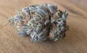 Granddaddy Purple – Indica