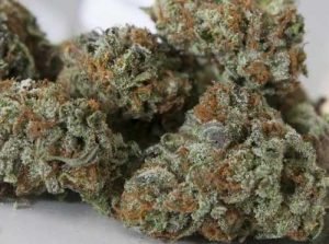 LA Confidential – Indica