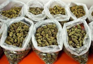 Strain,order,Buy weed online Australia.,Sample